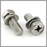 SS Sems Screw